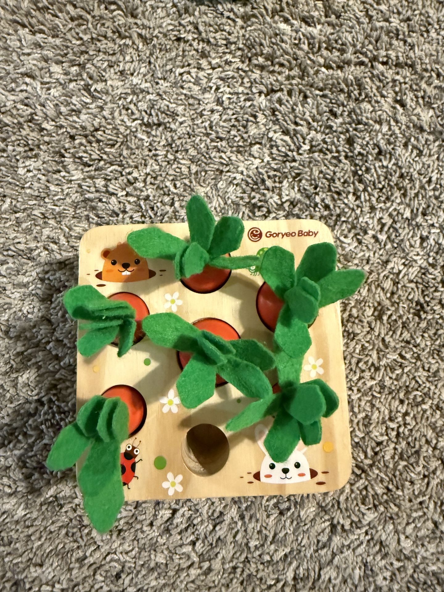 Montessori Style Carrot Sorting Baby Toy