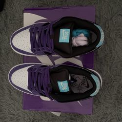 Nike Sb Dunk Low Hayley Wilson