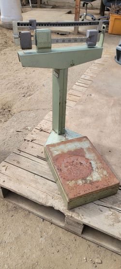 Detector Scale