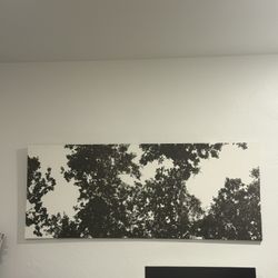 Canvas Wall Art
