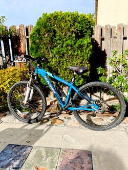 Novara Mountain bike