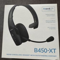 Blue Parrot B450-XT GN