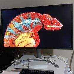 LG 32-in 4K Monitor 32UL750-W 