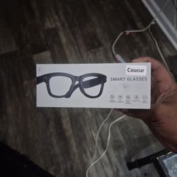 Smart Glasses