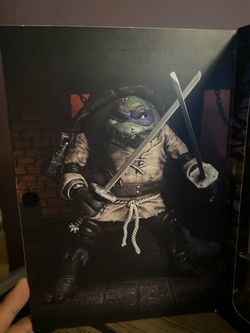 NECA TMNT Leonardo Action Figure Box