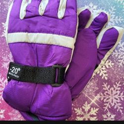 Snow Gloves 