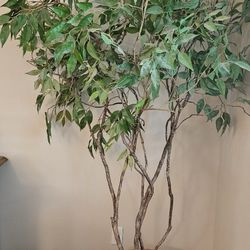 Artificial Large 7ft. Indoor Plant In Pot