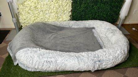 Human Sized Dog Bed 