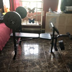 Weight Bench