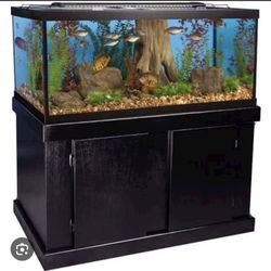 Fish Aquarium  (used)