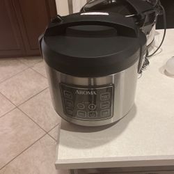 Rice/Slow/Steeam Cooker