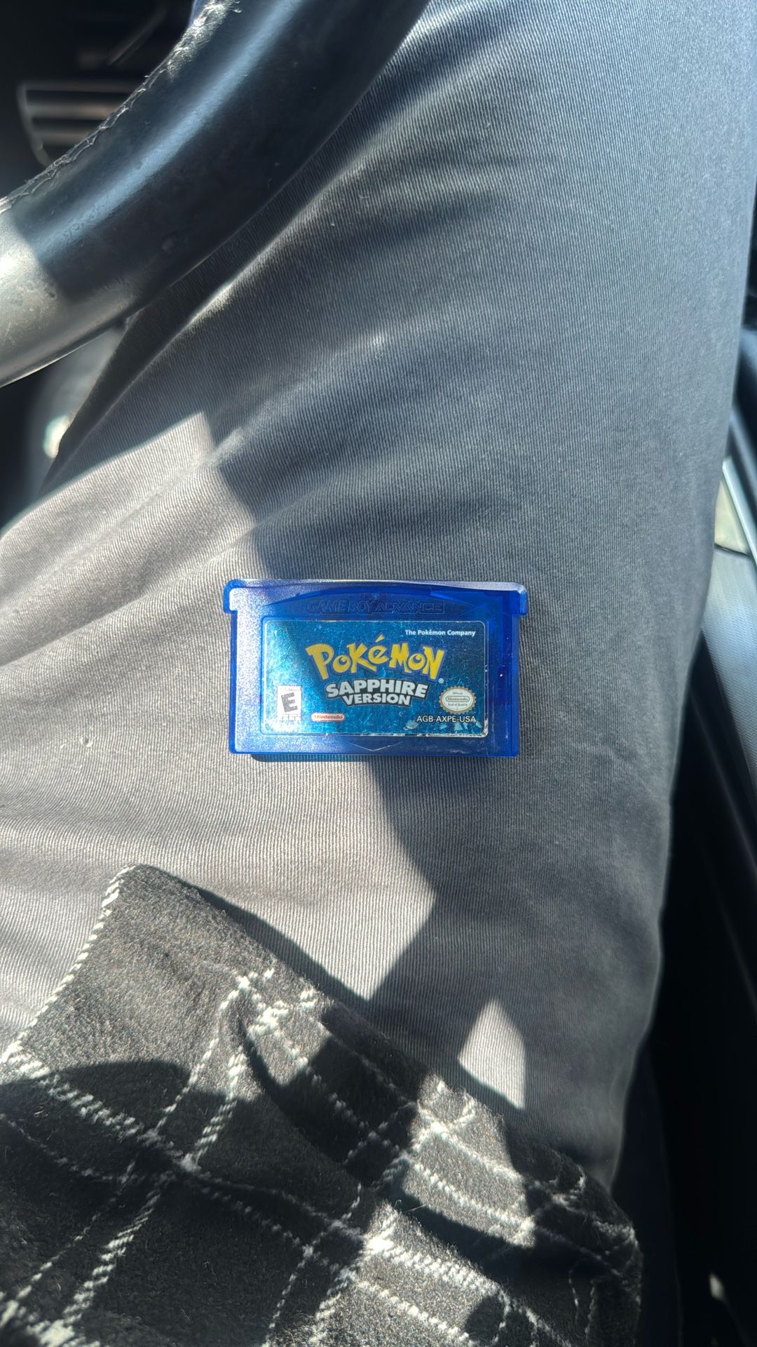 Pokémon Sapphire Version 
