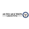 Auto Auction Group Inc