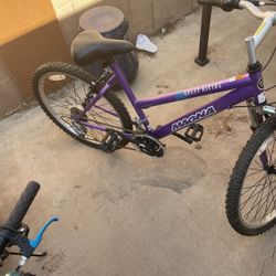 24” Bike