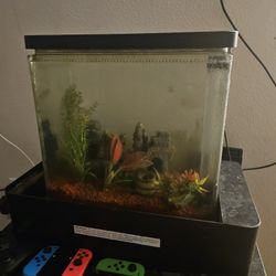 Fish Tank 20L