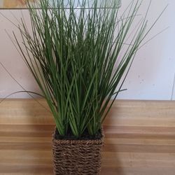 Faux Plant