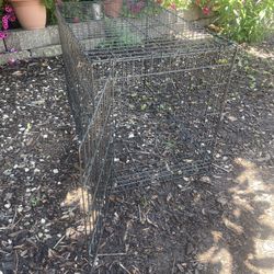 Dog Kennel