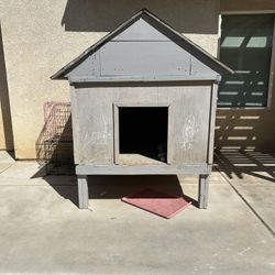 Dog House 