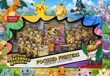 Focused Fighters Ascended Heroes
