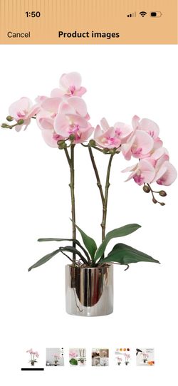 XGS Artificial Orchid Flower Plant Real Touch Faux Orchids in Ceramic Vase Pink 19.7'' Fake Phalaenopsis Flower Arrangement Centerpiece Home Indoor De