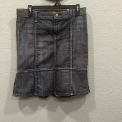 Denim Skirt  “All For Mankind”