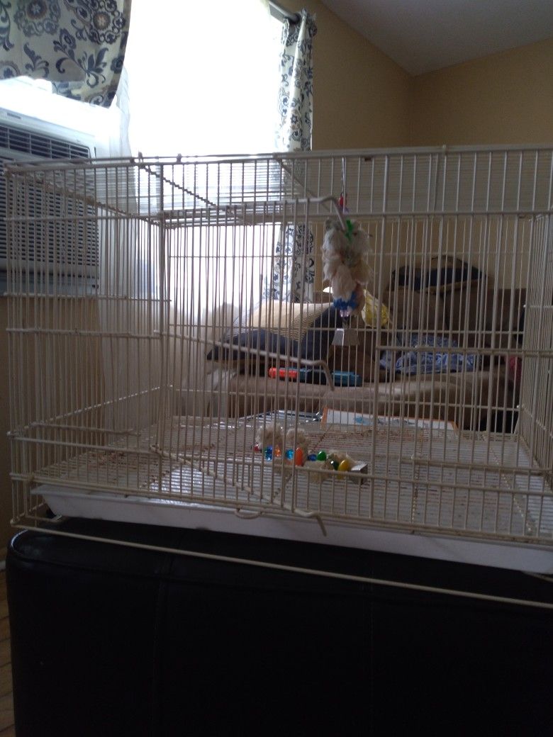 White Parakeet Bird Cage. 