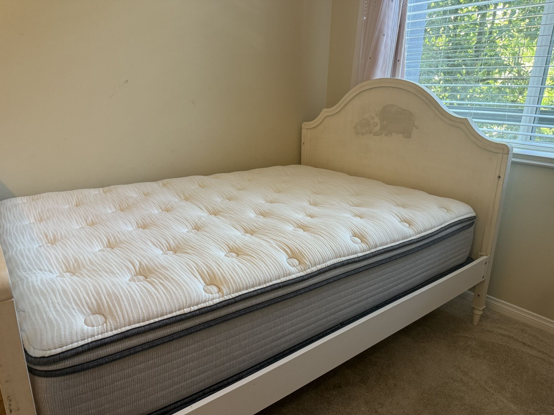 Beautyrest BR800 11.5\