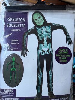 Disfraz ,costume