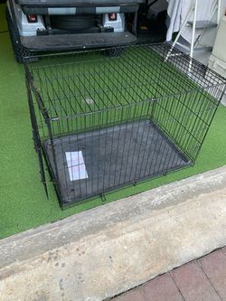 Folding Wire Dog Crate with Tray
