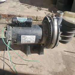 Swimming Pool Motor Pump