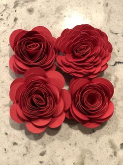 Roses