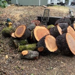 Free Wood 