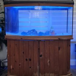 Spectacular60 Gallon  Showcase Salt Water Fish Tank / Aquarium