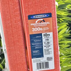 Werner Ladder 10 Ft 
