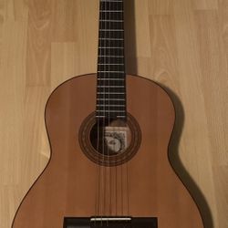 Guitar $100