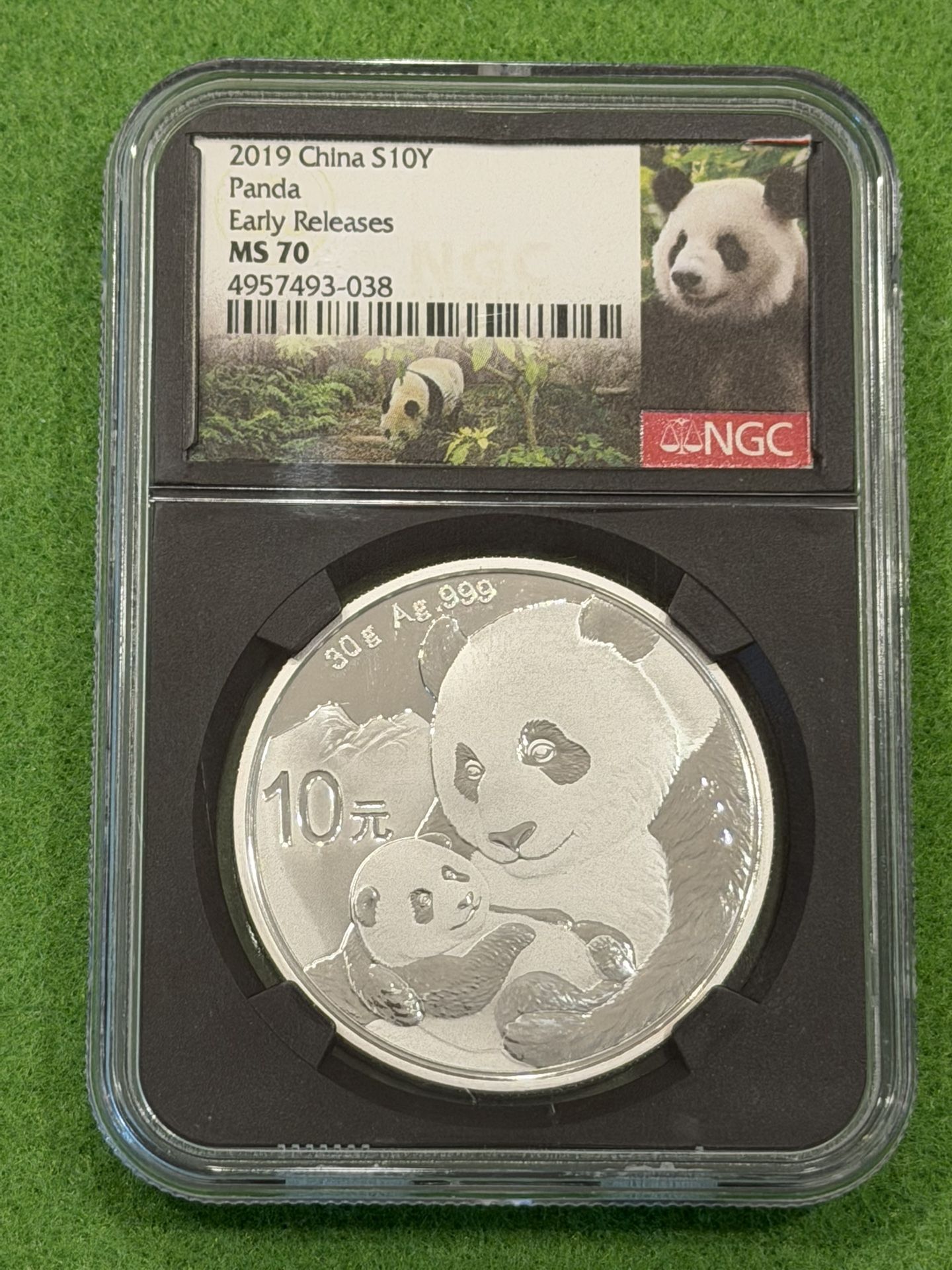 .999 Silver Panda 1oz NGC MS70 Coin Early Release 2019 China S10y