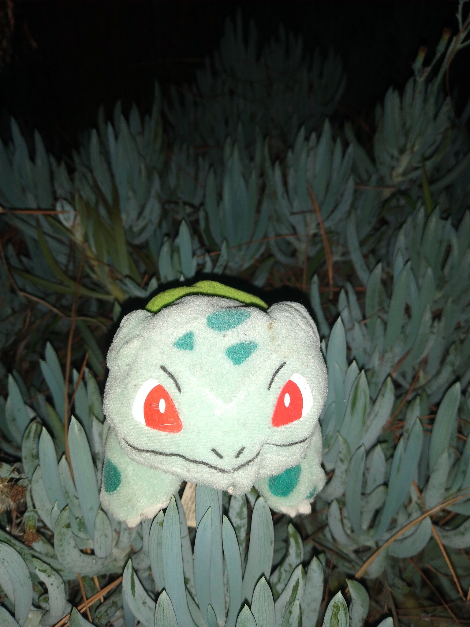 Rare Nintendo Bulbasaur and Squirtle