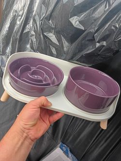 Elevated Slow Feeder Dog Bowls - New