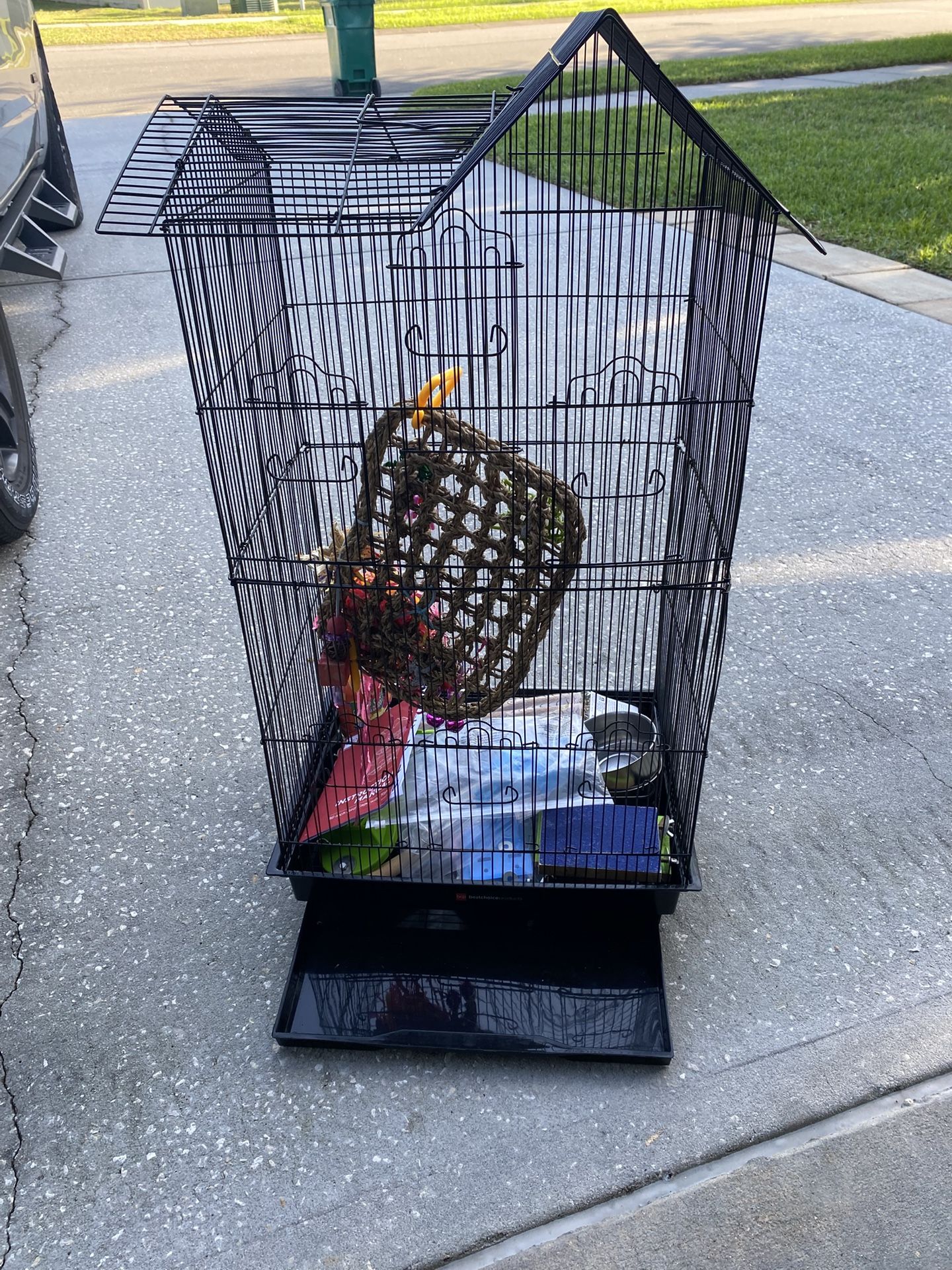 Bird Cage