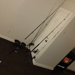 Penn Pursuit IV 10 Foot