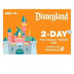 2 ADULTS 2 KIDS DISNEYLAND TICKETS 