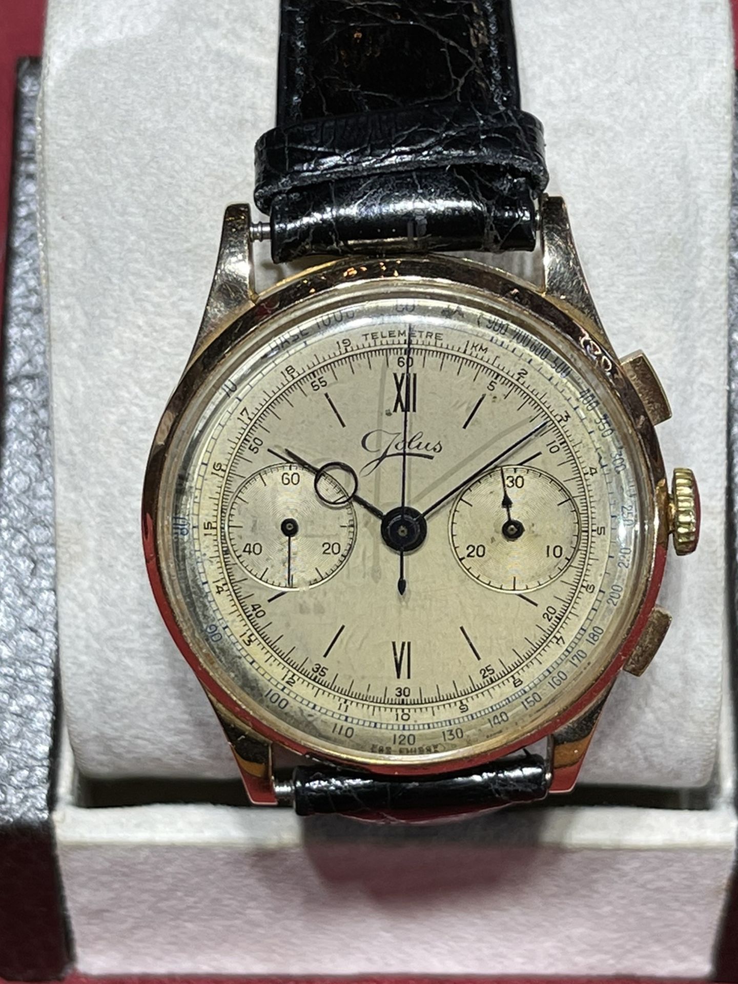 Jolus Watch