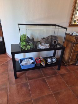 Reptile tank...50 gallon