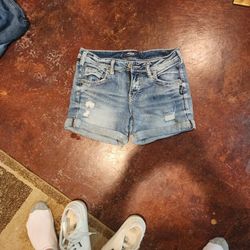 Silver Women's Shorts Size 28