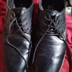 Deer Stag Matthew 12 W