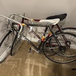 Peugeot Road Bikes