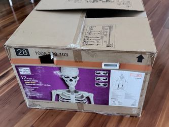 Skelly 12 foot Skeleton