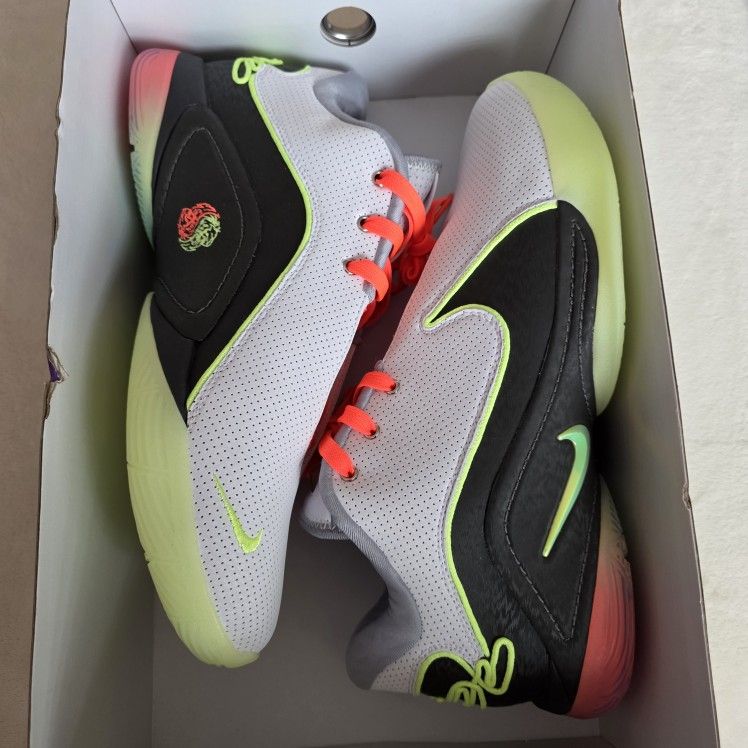 Nike Lebron 22 $80