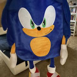 Backpack. Sonic.
