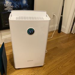 Ocagfo Dehumidifier